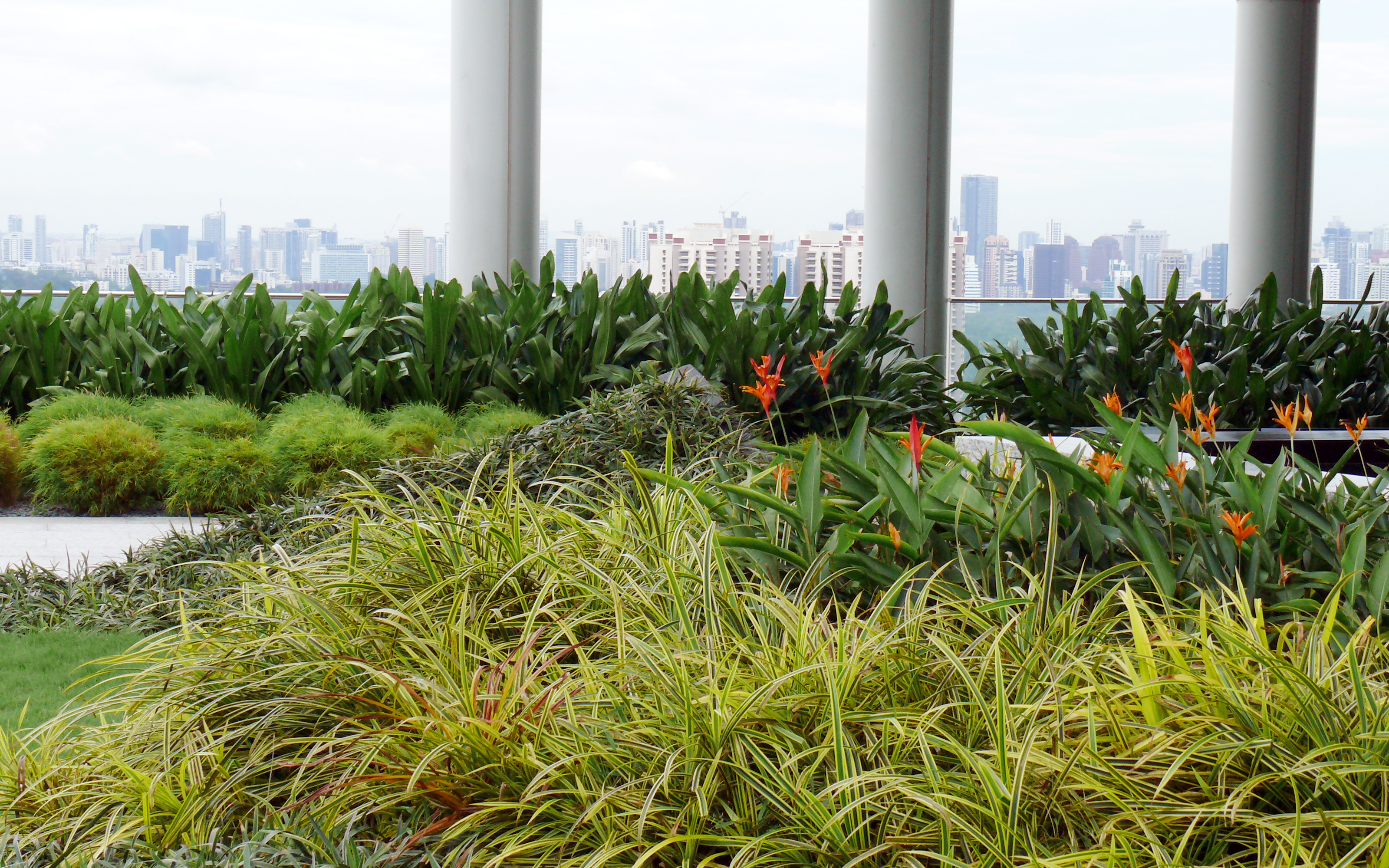 Terrasse jardin 