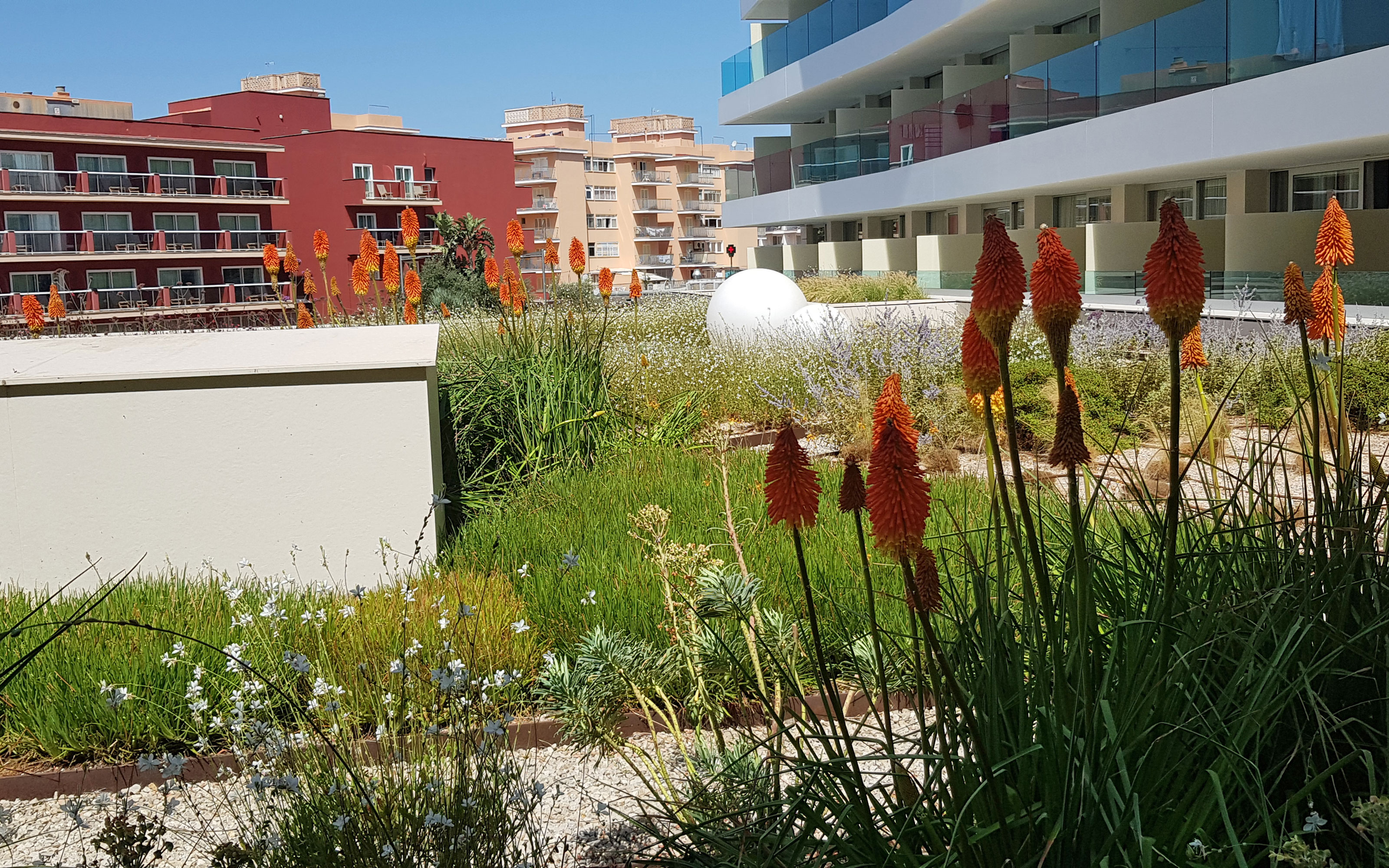 Terrasse jardin