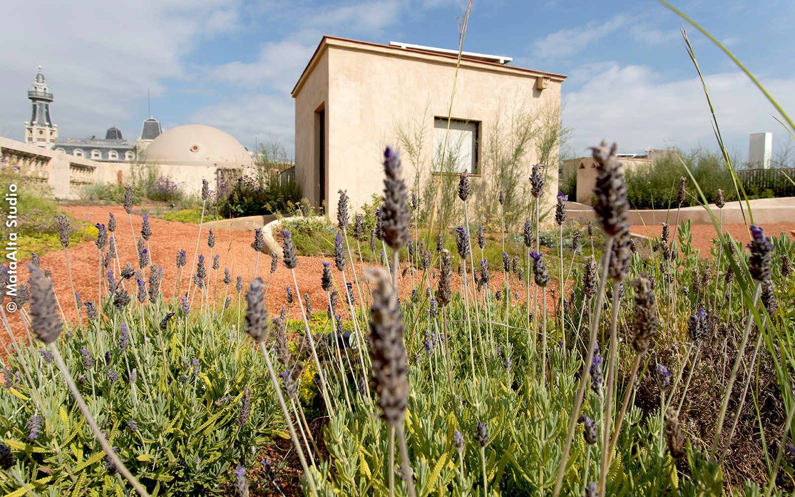 Terrasse jardin