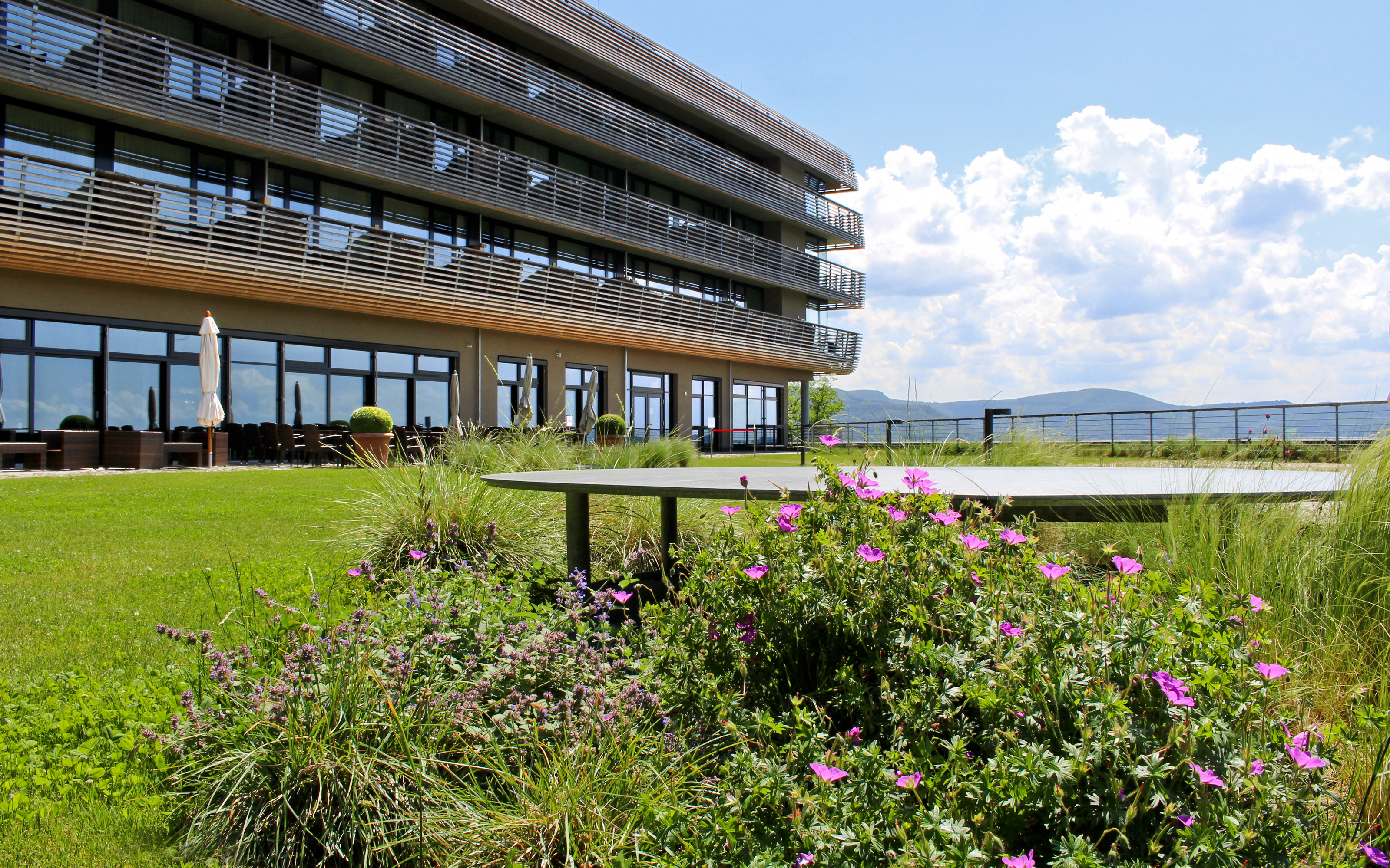 Terrasse jardin
