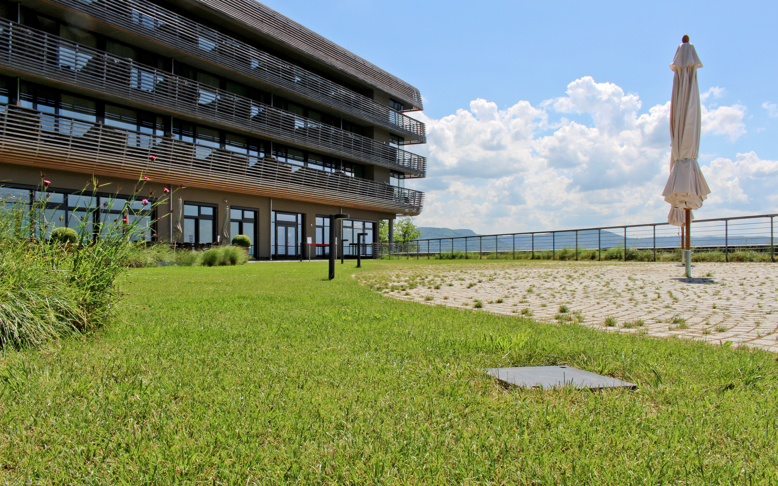 Terrasse jardin