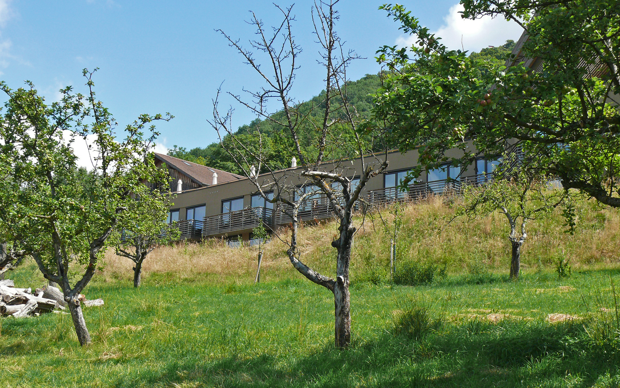 Terrasse jardin
