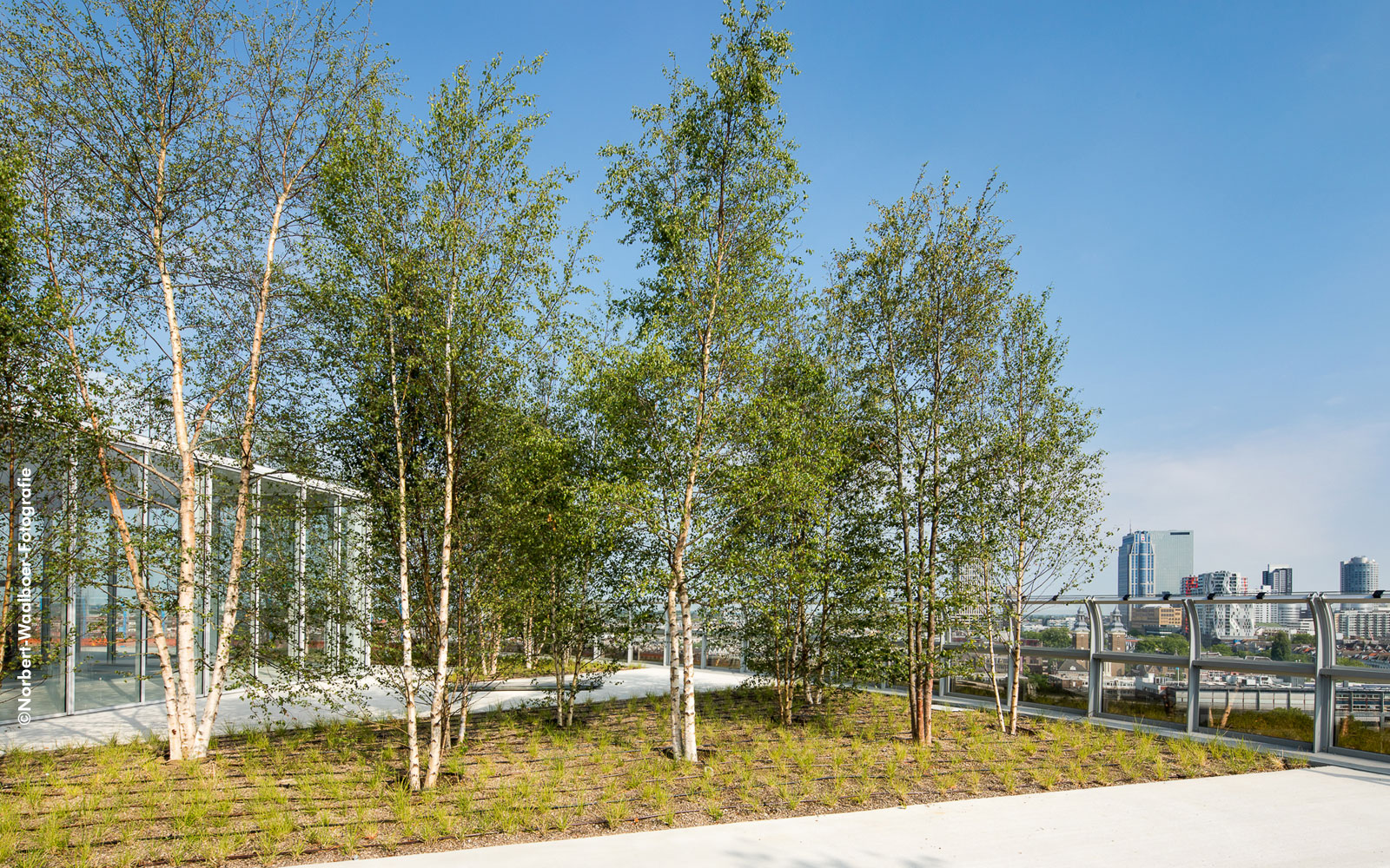 Terrasse jardin