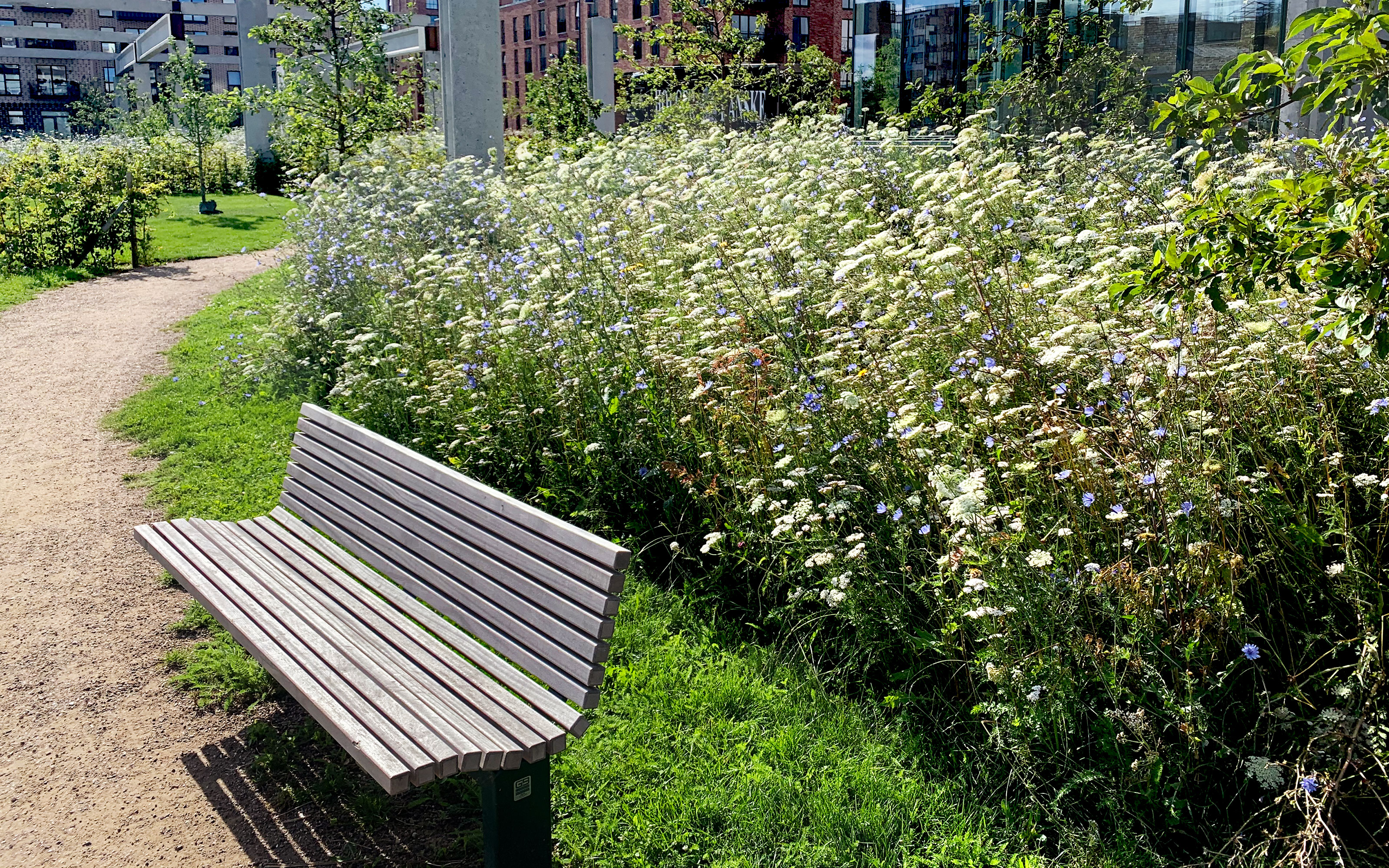 Jardin sur le toit d'un garage souterrain