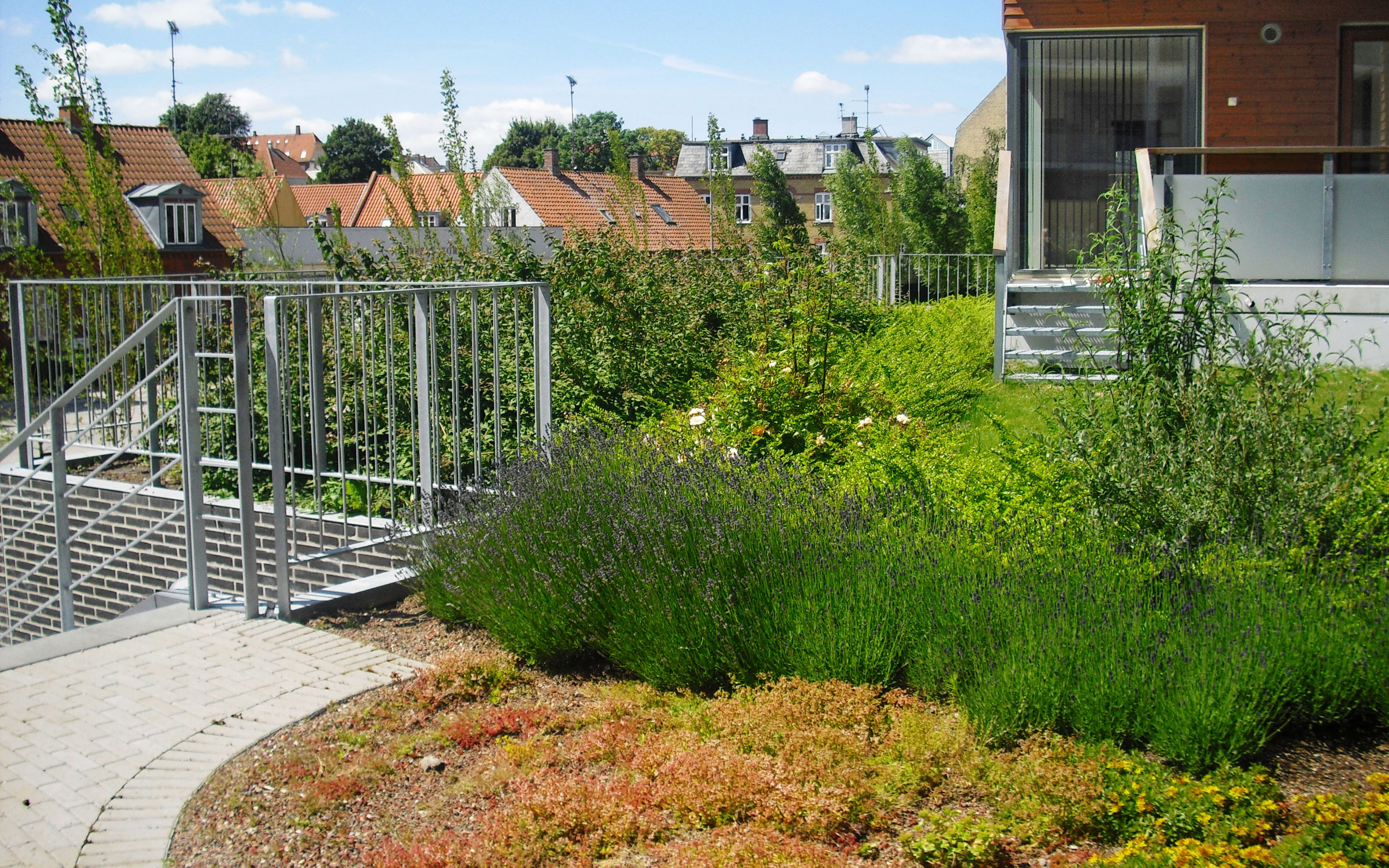 Espace vert d'un complexe résidentiel