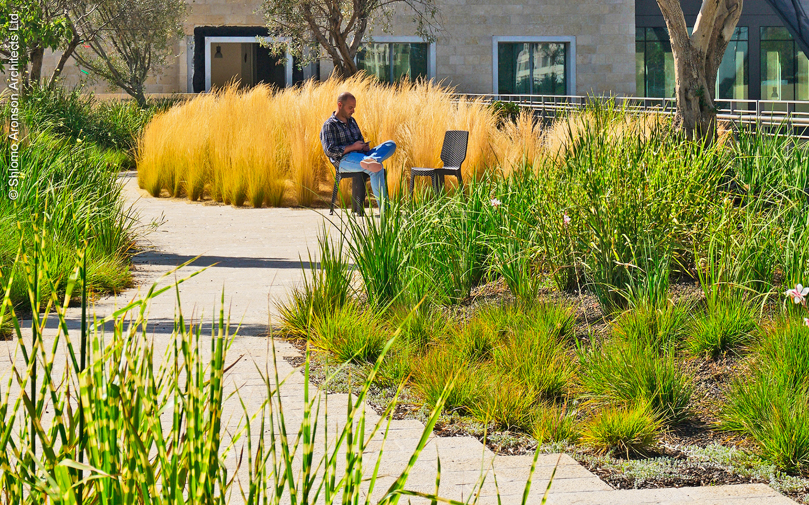 Toiture jardin