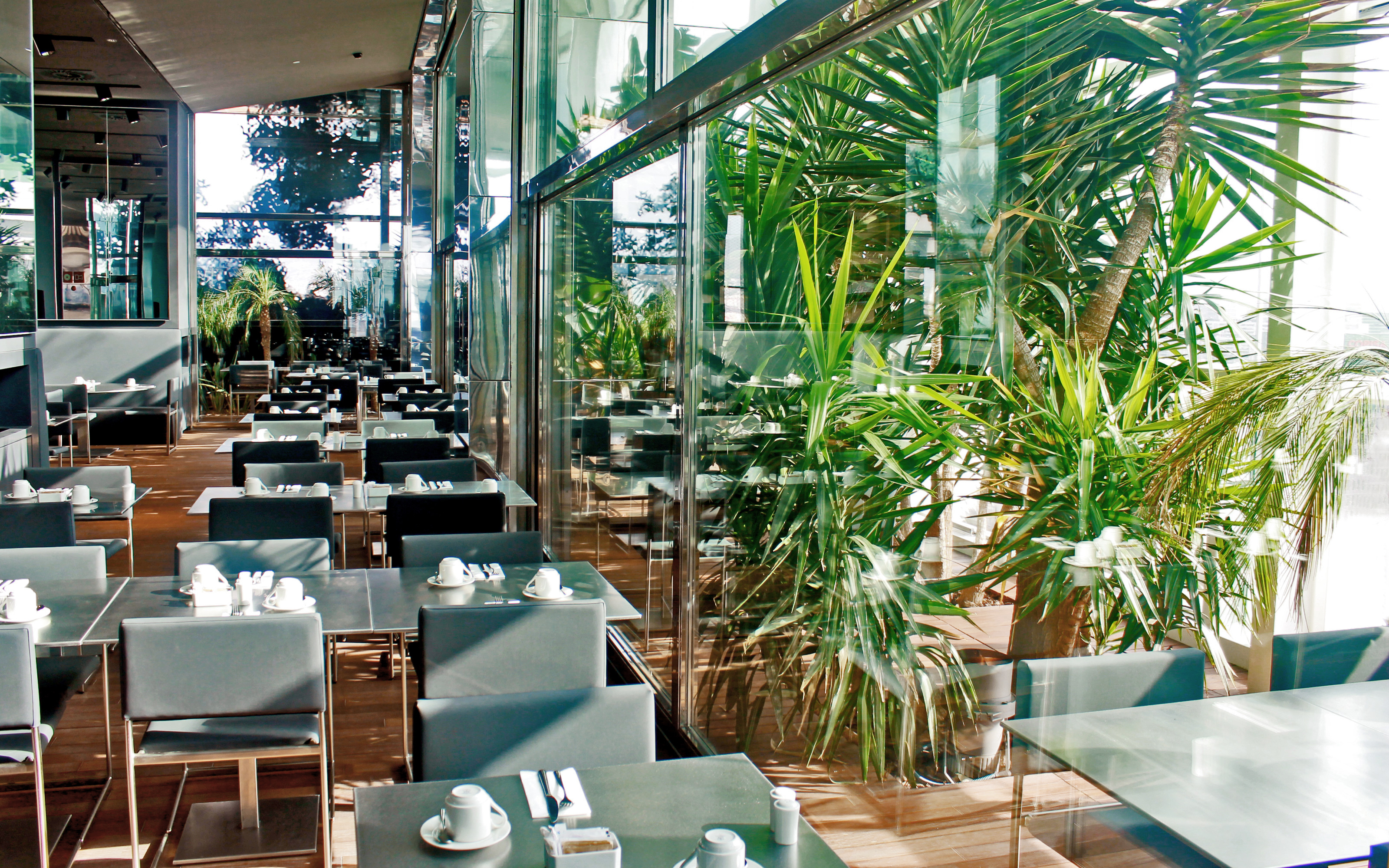 restaurant avec des palmiers