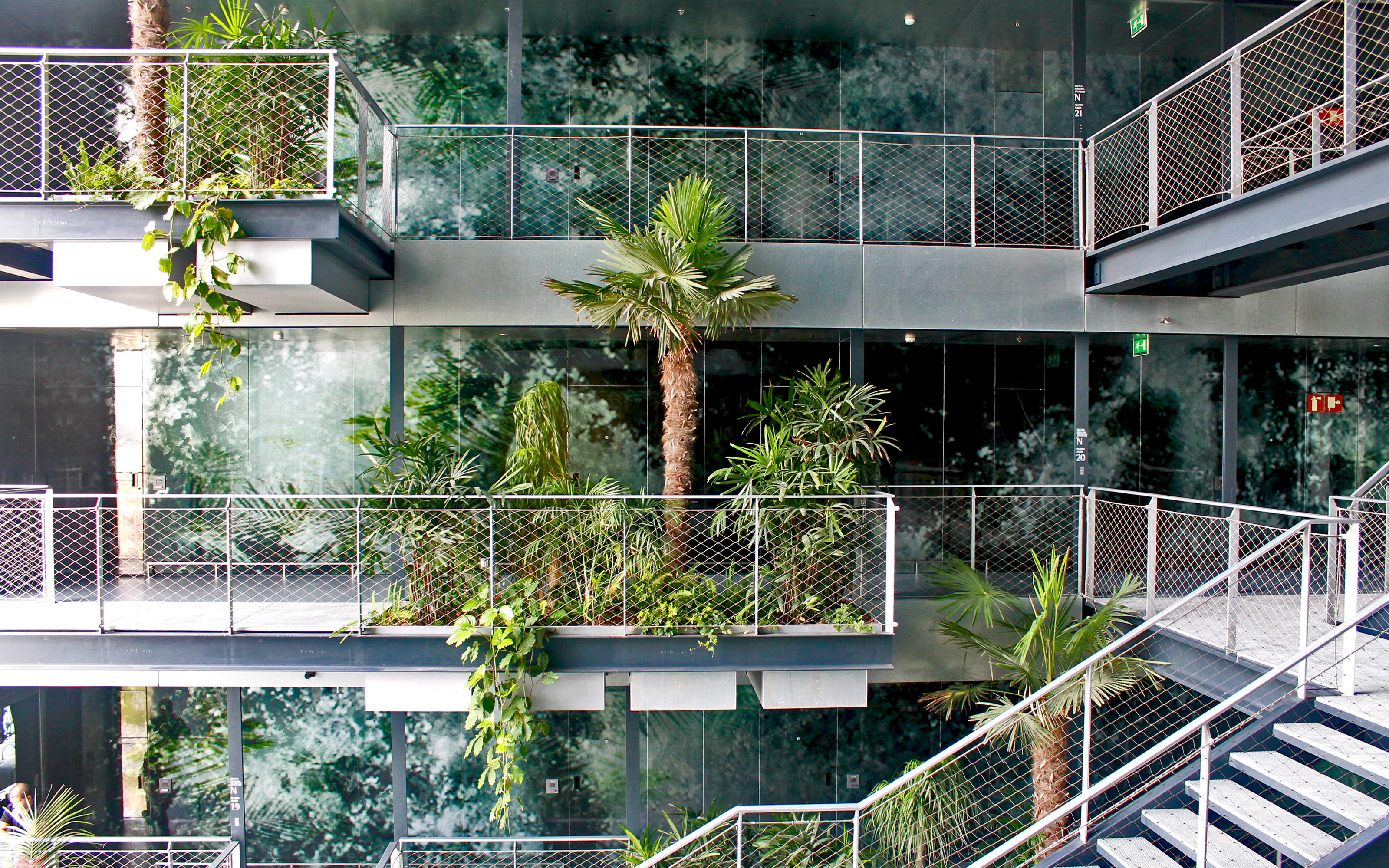 Jardin tropical à l'intérieur