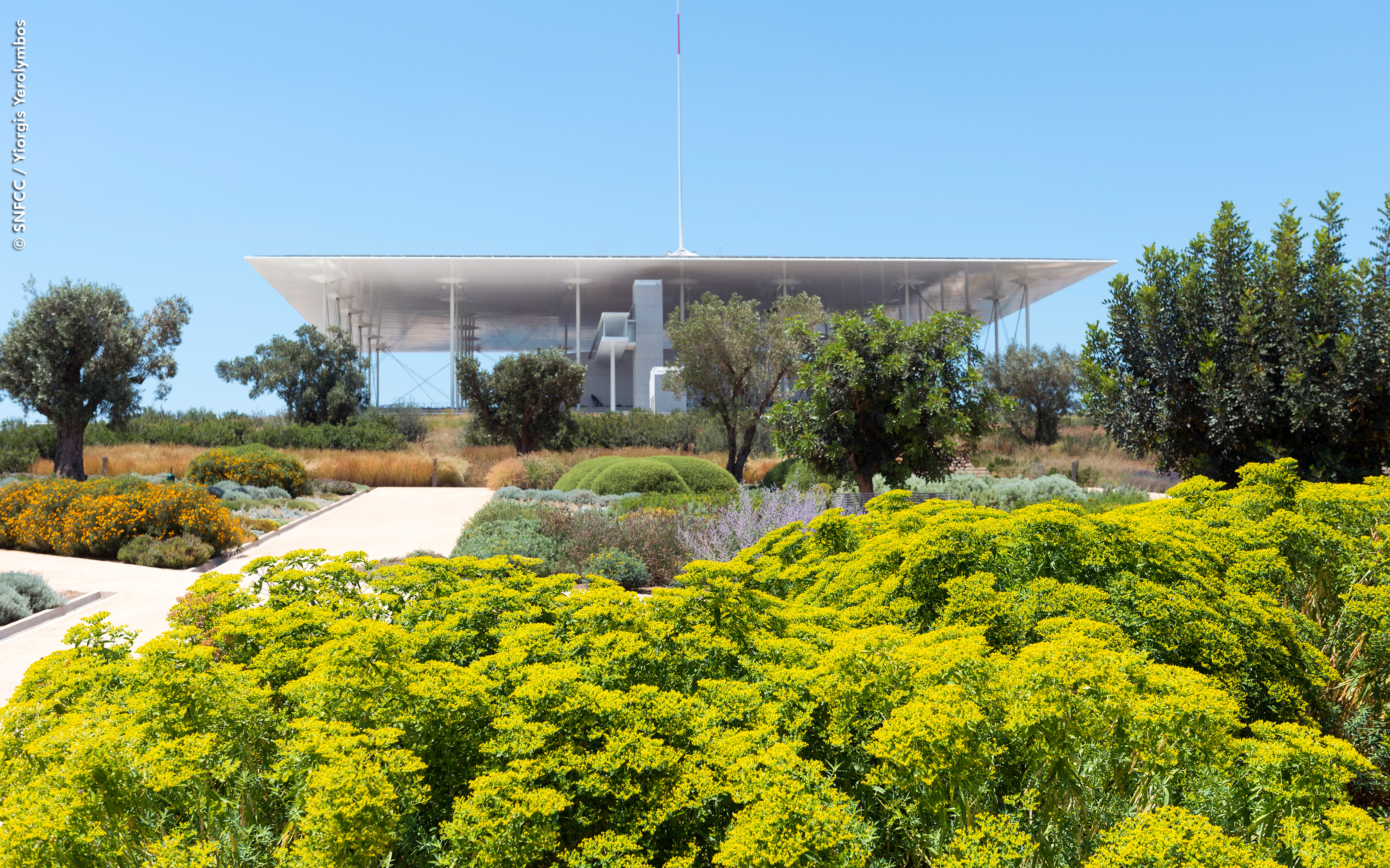 Toiture jardin avec végétation méditerranéenne