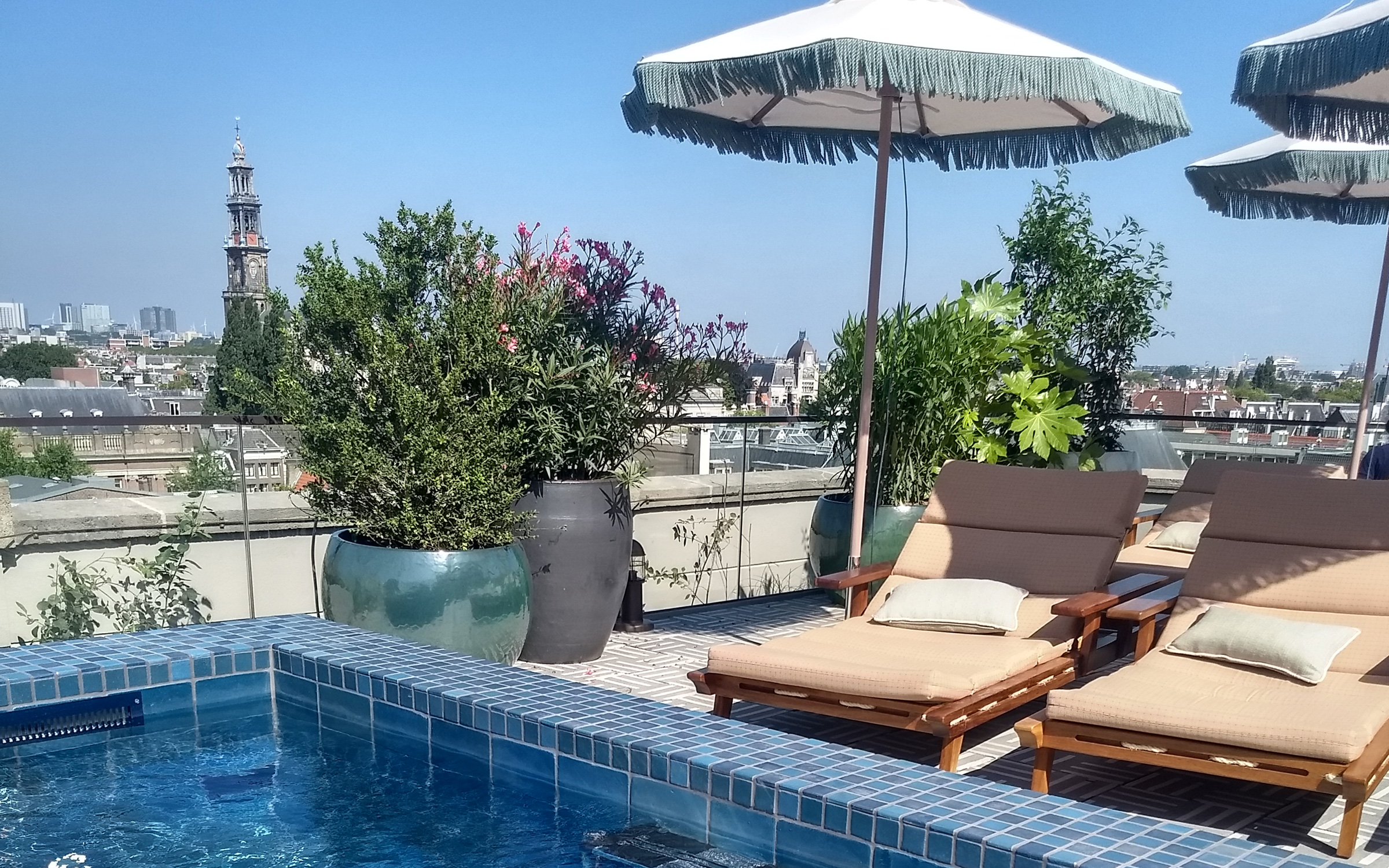 Toiture jardin avec piscine