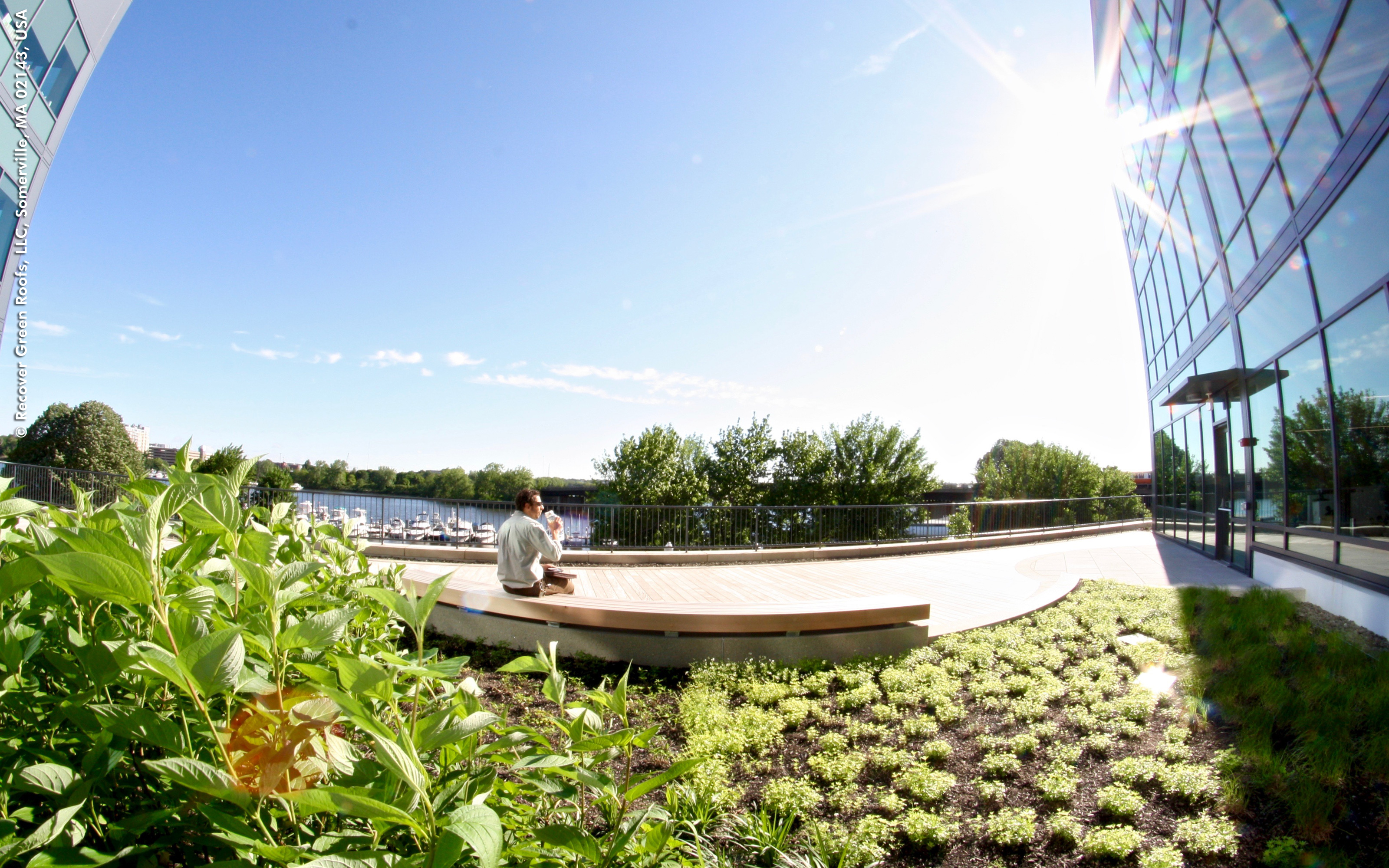 Toiture jardin