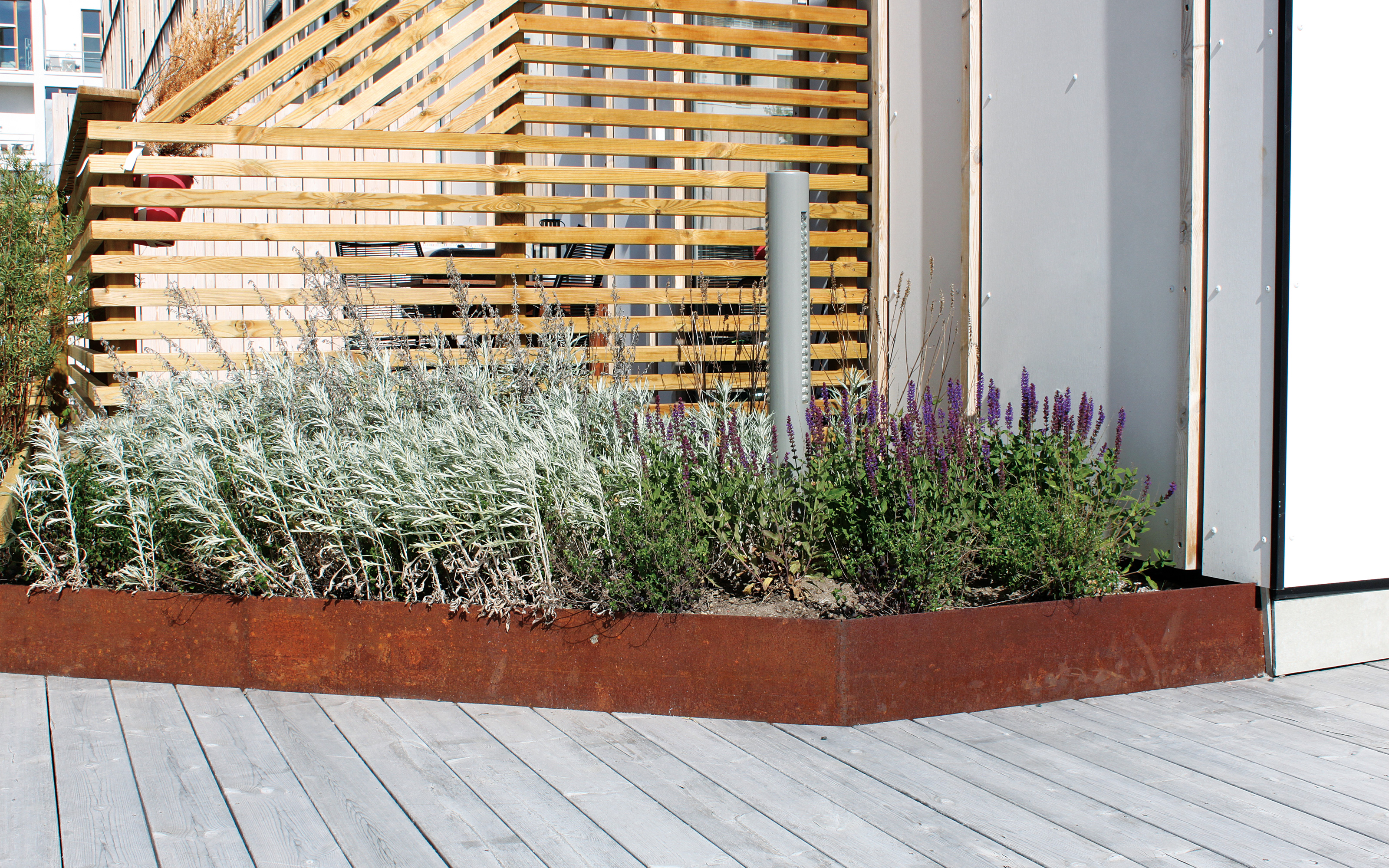Herbes et bordures métalliques rouillées sur une terrasse en bois.