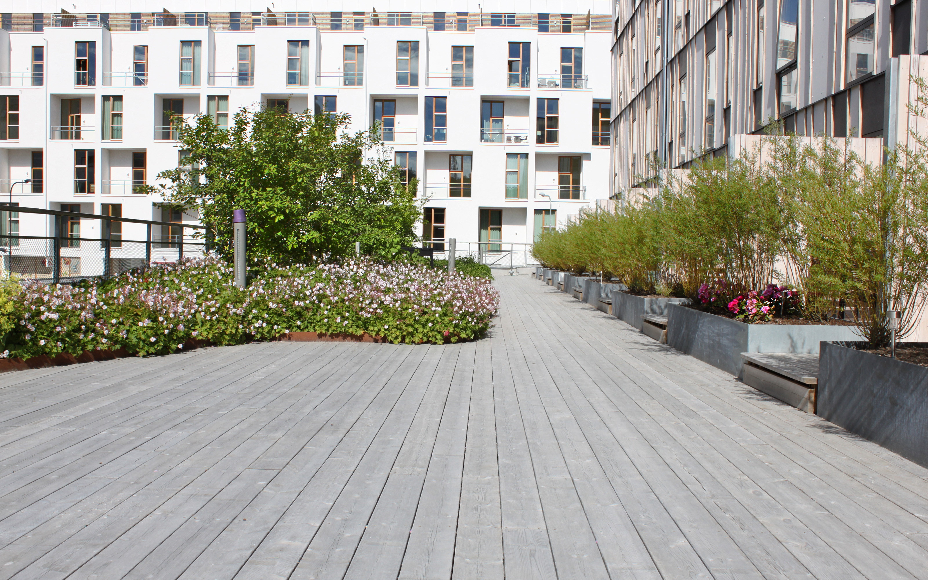 Toiture jardin avec végétation et surfaces de marche en bois