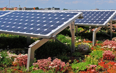 La combinaison de panneaux solaires et d’une végétalisation extensive de toiture