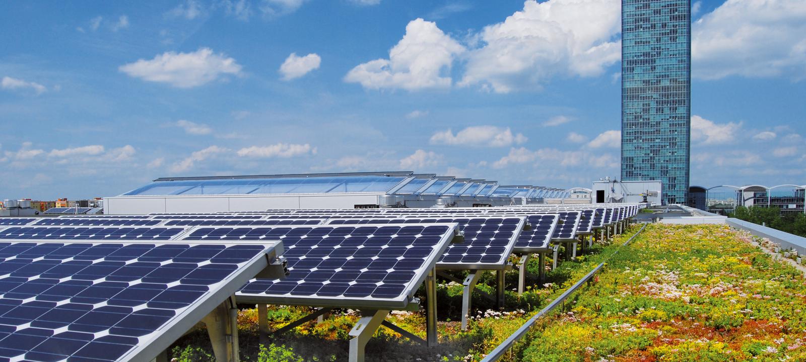 Végétalisation de toiture et énergie solaire