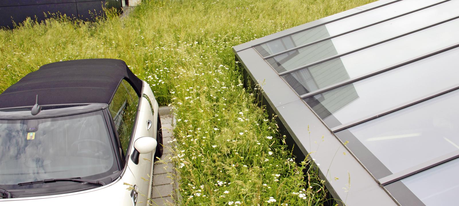 La voiture sur le toit vert