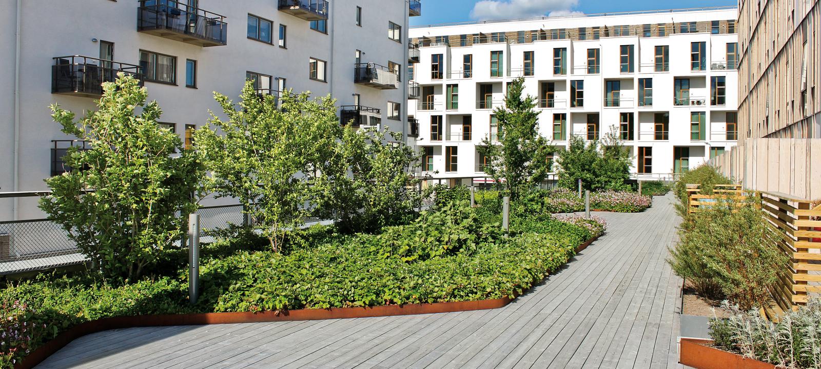 Toit vert avec les revêtements en bois 