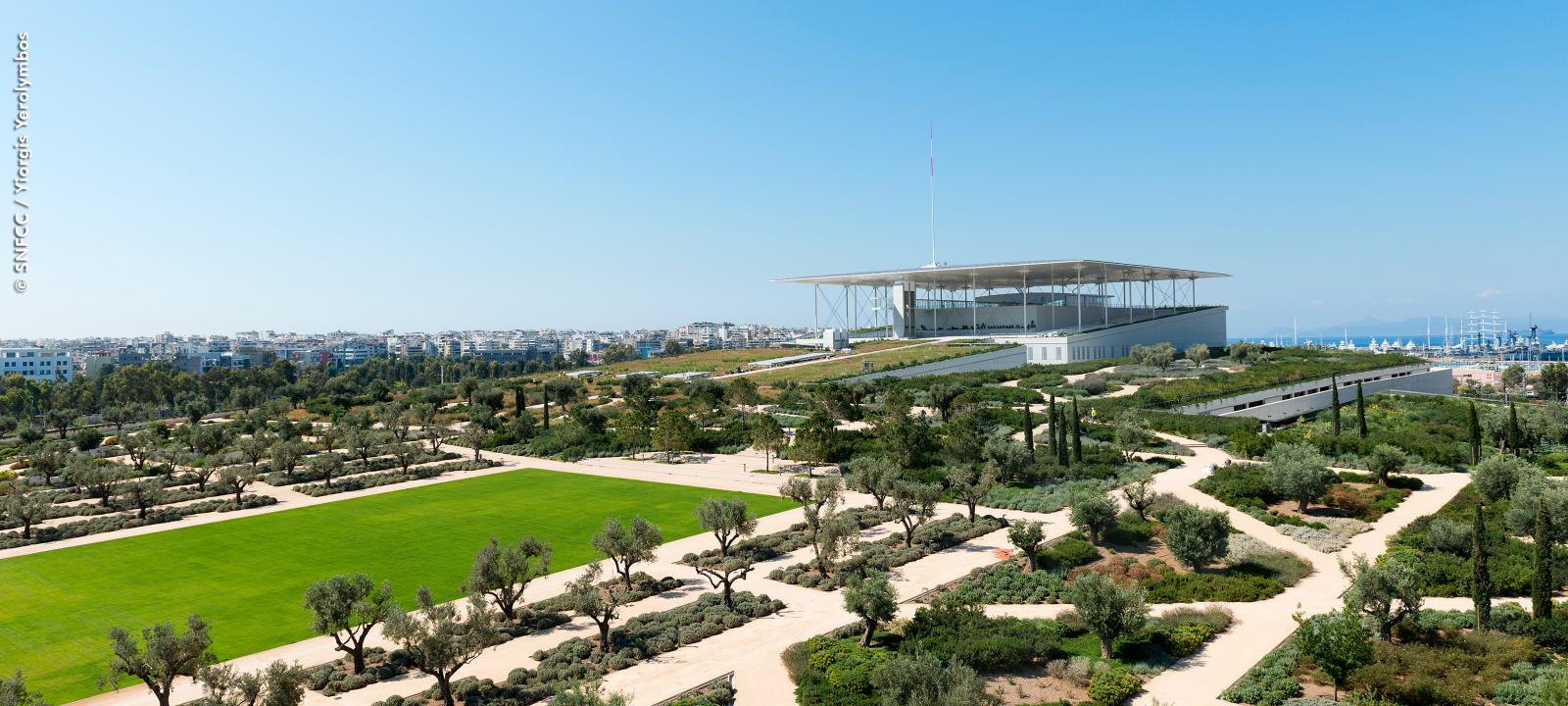 Terrasse jardin avec de nombreux oliviers