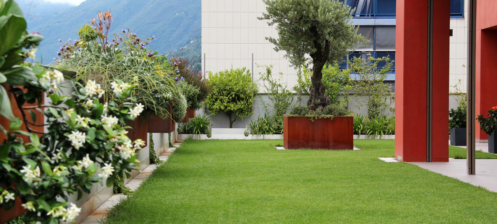 Terrasse jardin avec gazon