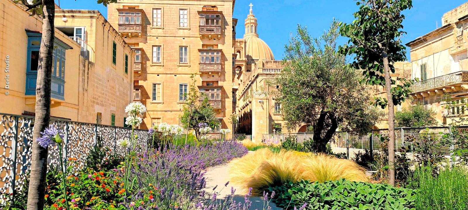 Roof garden with mediterranean shrubs, lavender and small trees