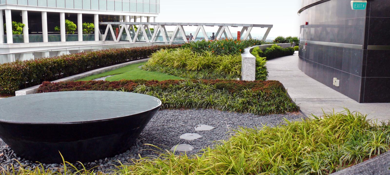 Terrasse jardin