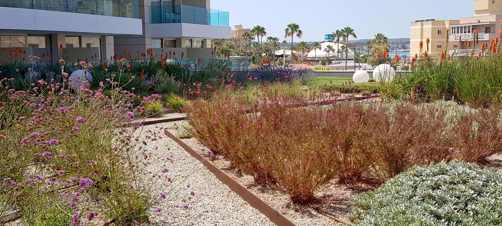 Terrasse jardin