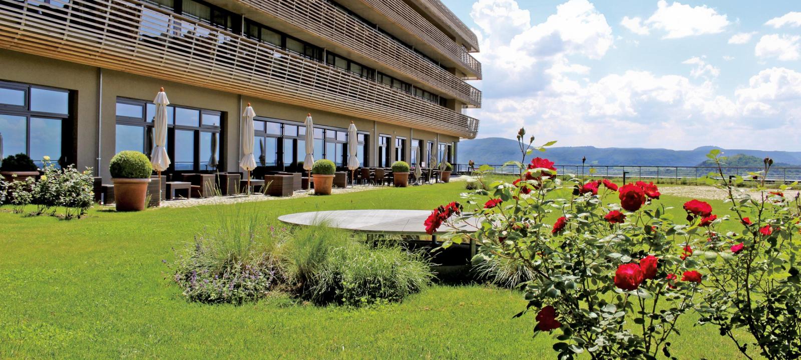 Terrasse jardin