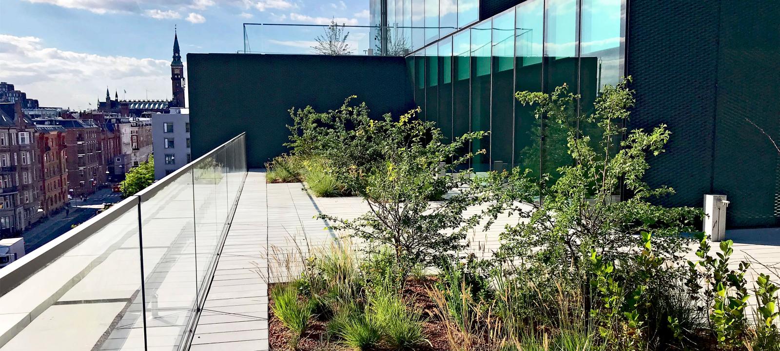 Terrasse jardin