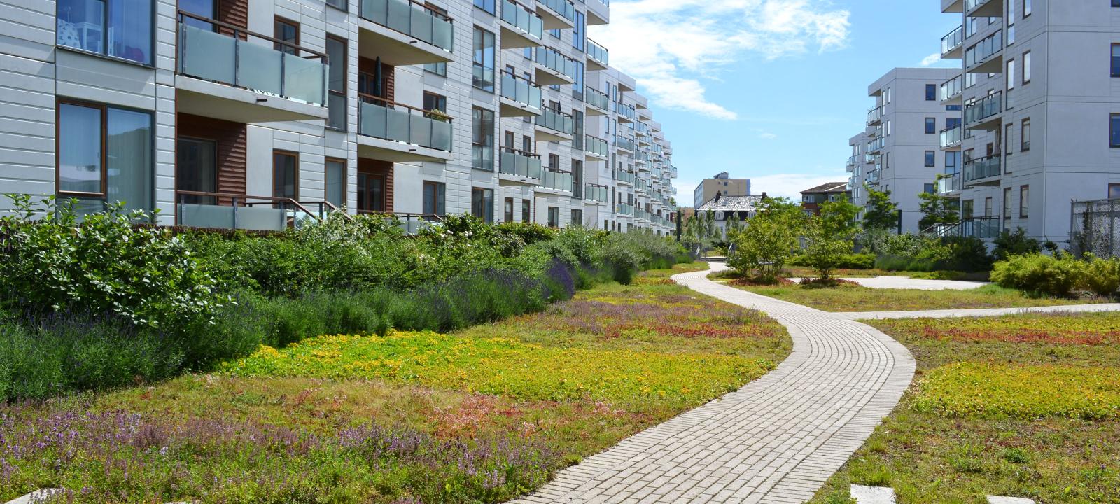 Espace vert d'un complexe résidentiel
