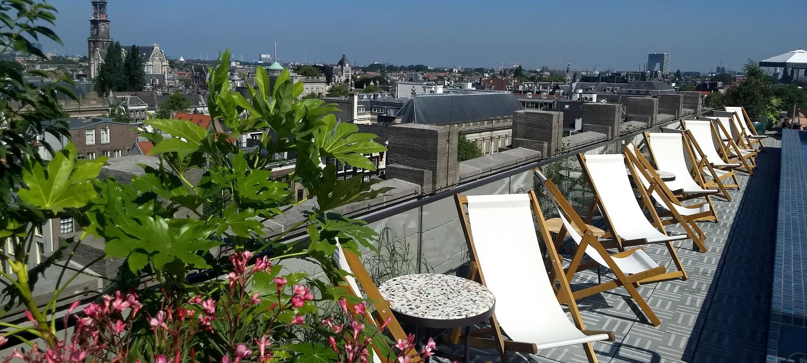 Toiture jardin