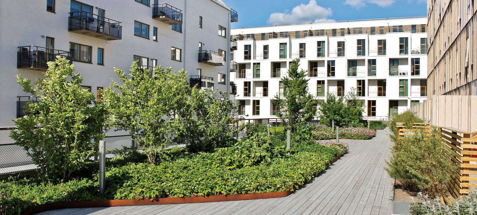 Toiture jardin