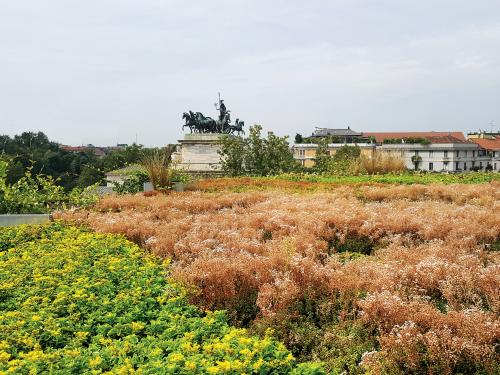 Toit végétalisé avec Sedums 