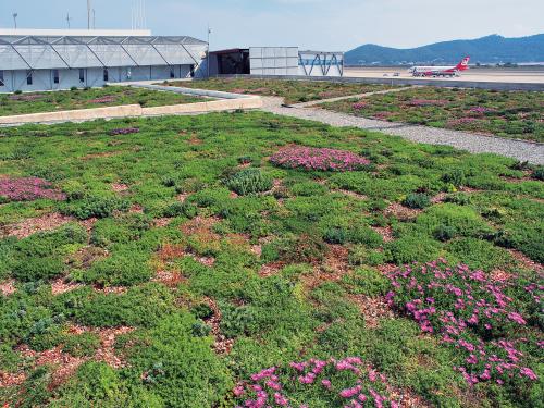 Vue sur la généreuse végétalisation du toit
