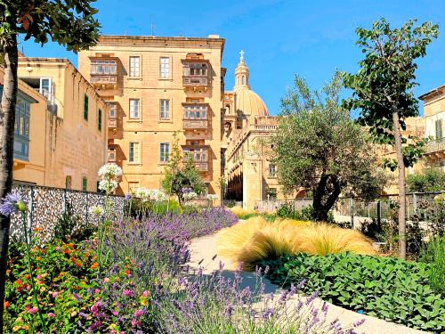 Mediterranean roof garden 