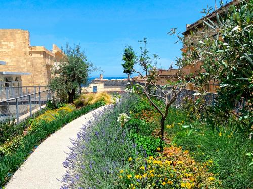 Roof garden with a pathway