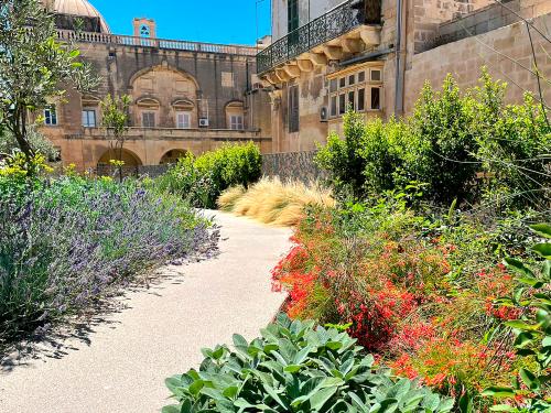 Roof garden with a pathway