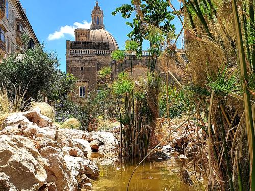 Roof garden with a pond