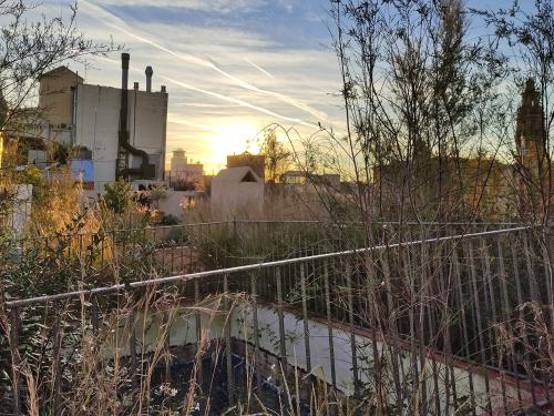 Toiture jardin avec garde-corps