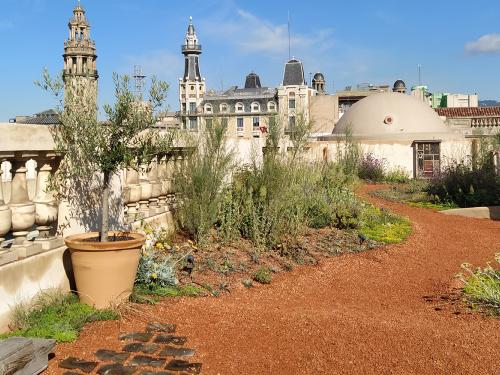 Plantes et substrat sur le toit