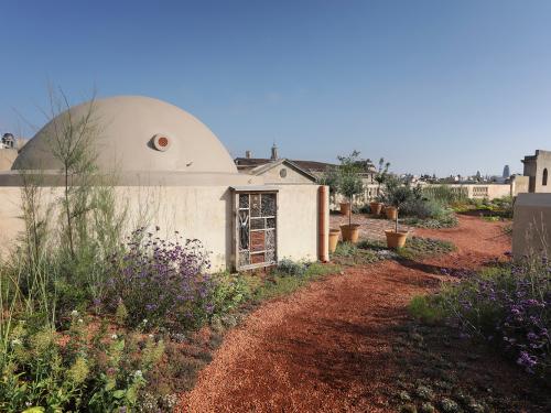 Jardin sur le toit avec un sentier