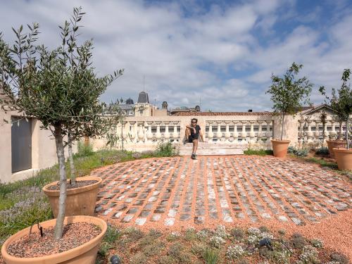 Toiture jardin méditerranéen 