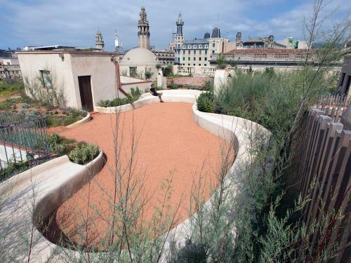 Toiture jardin méditerranéen 