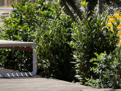 Toiture jardin avec sièges