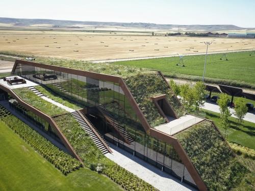 Aerial view of a green roof