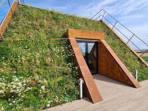 Terrace with green roof 