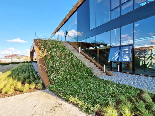 Stairway to a terrace
