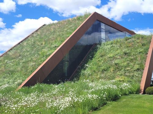 Meadow on the ground and pitched roof areas