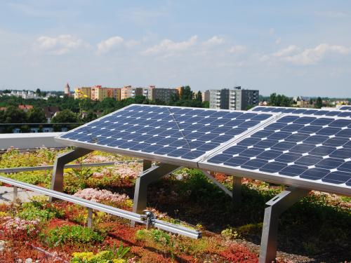 Végétalisation de toiture et énergie solaire