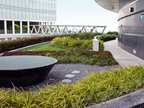 Terrasse jardin 