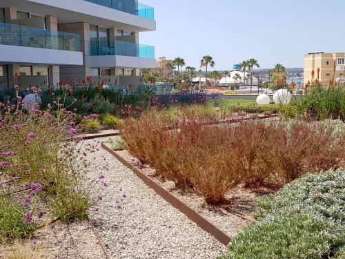 Toiture jardin